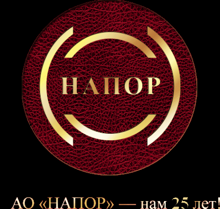 Логотип компании Напор АО
